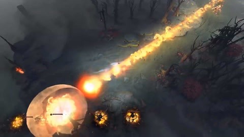 的实际行动 的实际行动