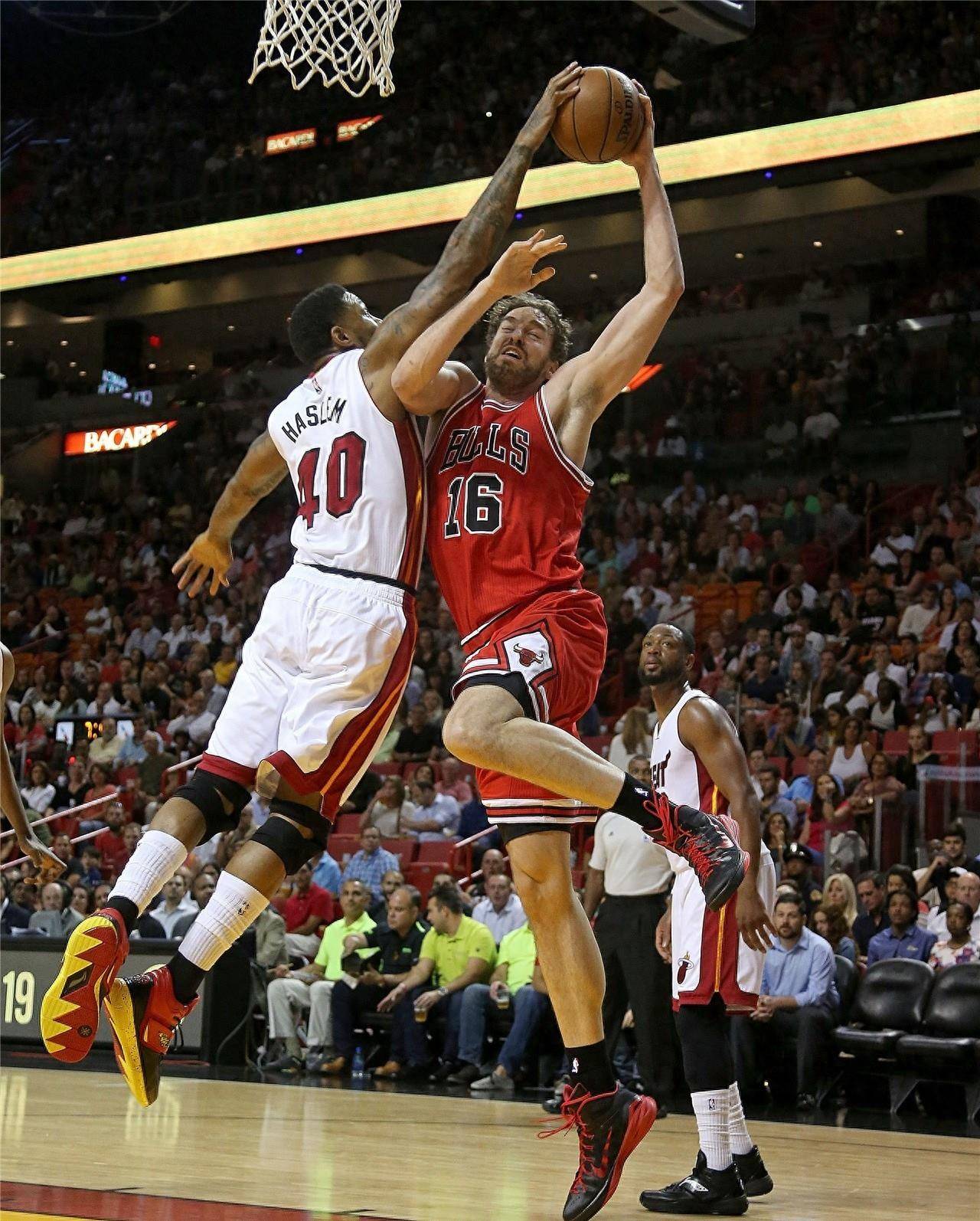 队前场的绝 队前场的绝